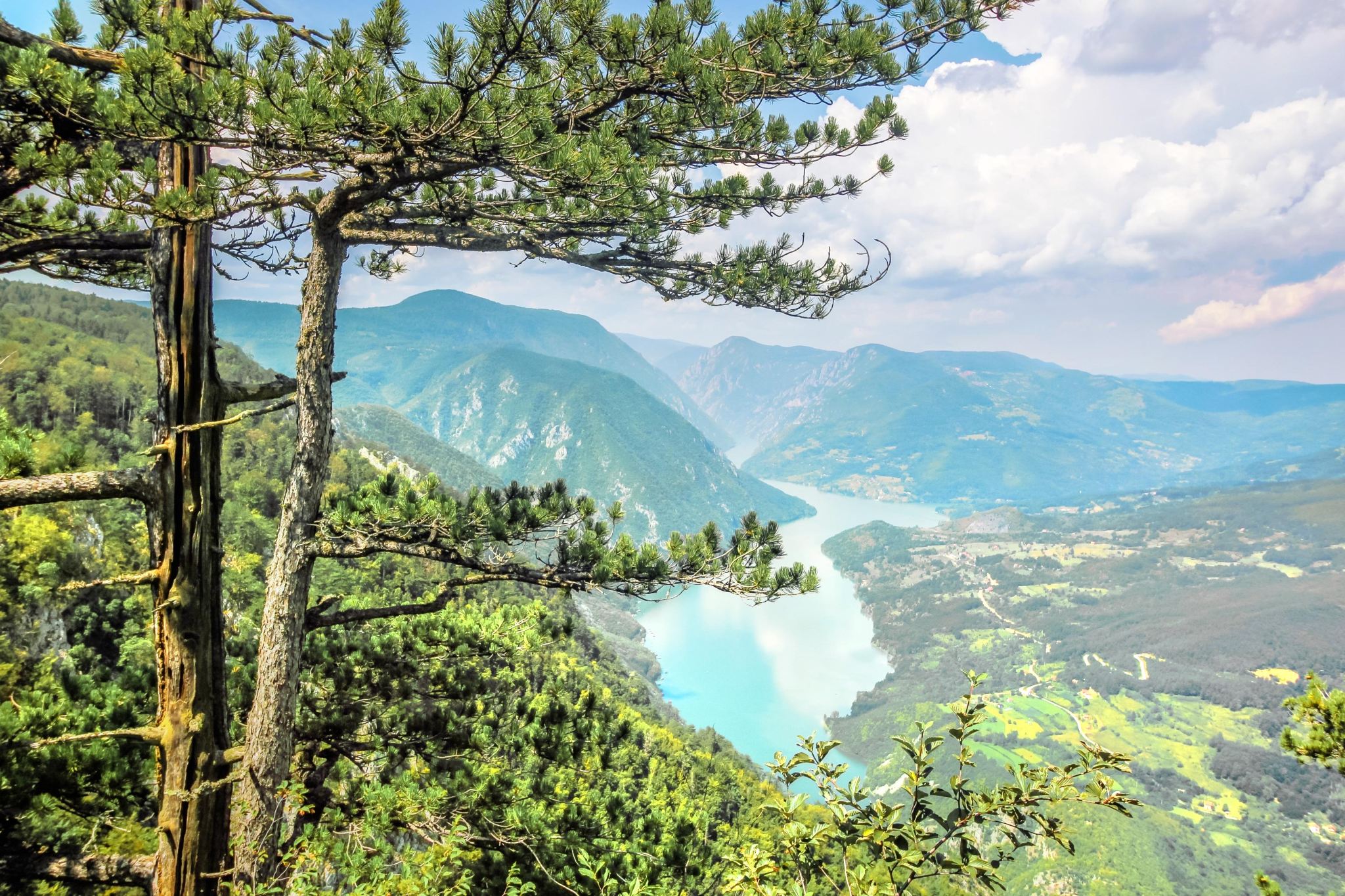 塞爾維亞貝爾格萊德德里納河屋+塔拉國家公園+彈孔紀念碑一日遊