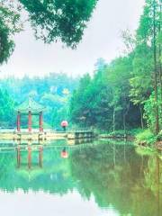 Qilishan Forest Park