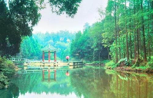 Qilishan Forest Park