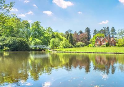 Virginia Water