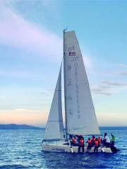 Sailboat Sailing Experience