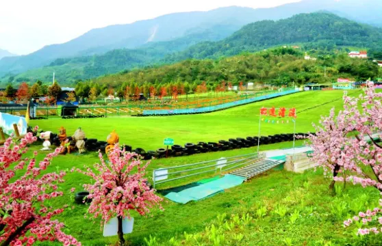 四川綿竹九龍滑草場A套票成人