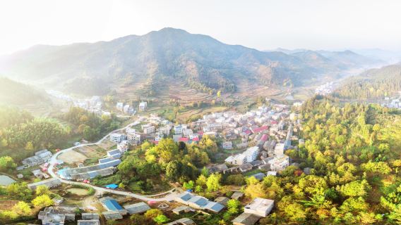 Pingtian Ginkgo Hometown