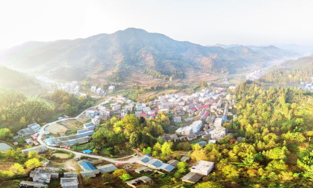 Pingtian Ginkgo Hometown