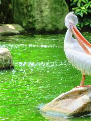 Taman Burung Kuala Lumpur