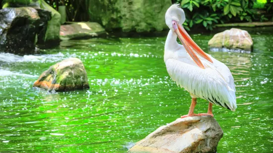 吉隆坡雀鳥公園