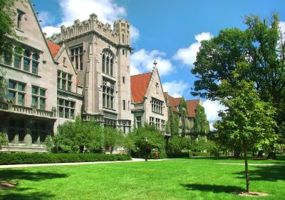 The University of Chicago