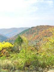 Laoshan Forest Park