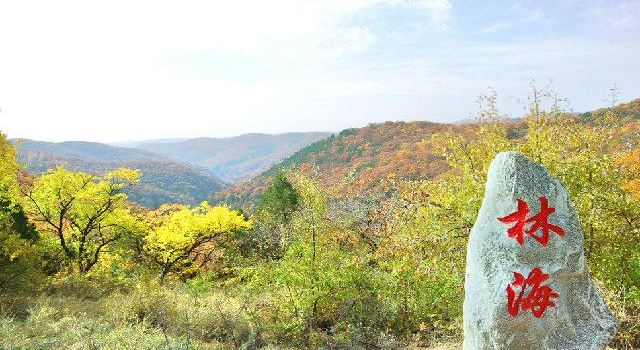 Laoshan Forest Park