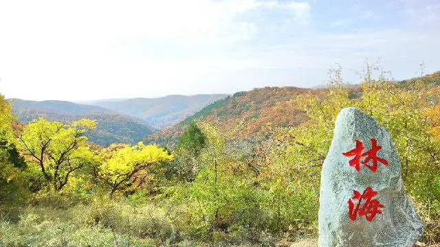 Laoshan Forest Park