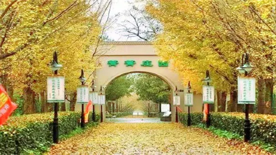 Qingqing Manor