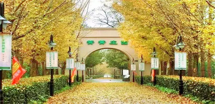 Qingqing Manor