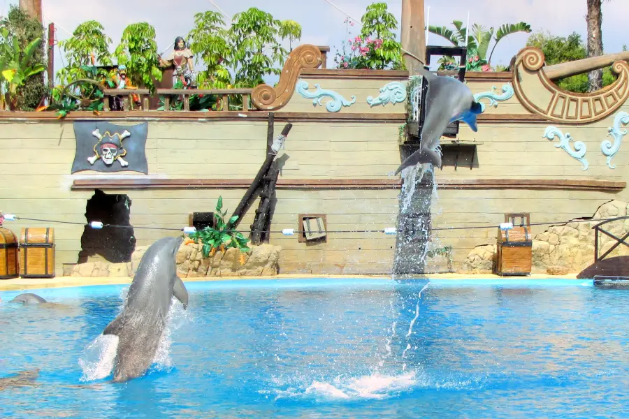 海洋世界水族館