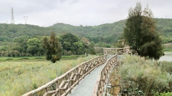 南澳白鷺生態公園在後宅這裏，是一個新開放的旅遊景點，白鷺生態