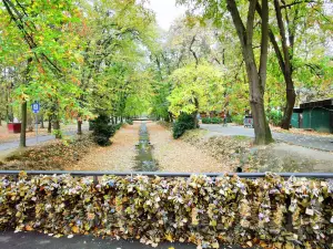 Most Ljubavi