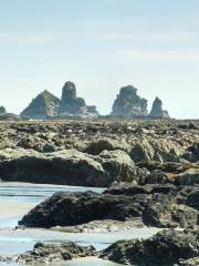 Motukiekie Beach Walk