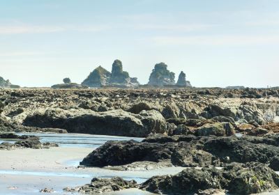 Motukiekie Beach Walk