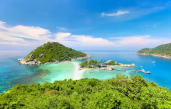 เกาะเต่า