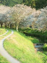 Maizuru Park