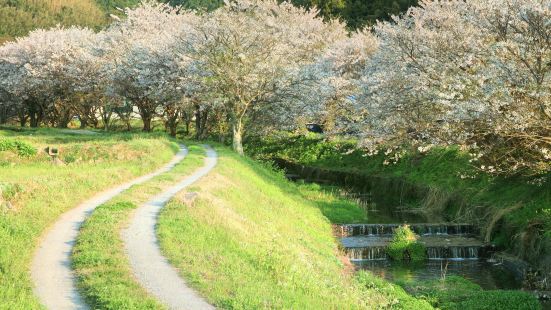 Maizuru Park