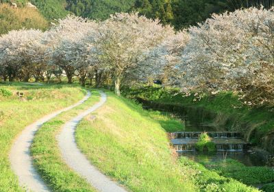 Parque Maizuru