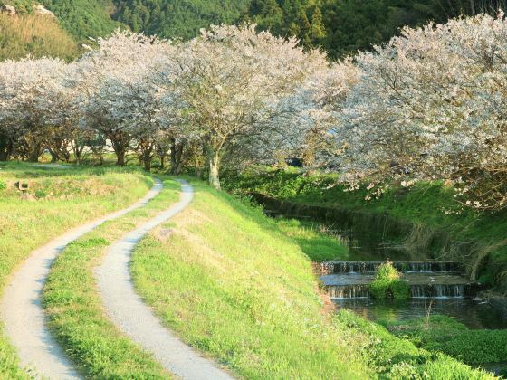 Maizuru Park