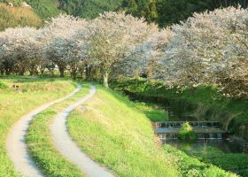 Hotels in Fukuoka