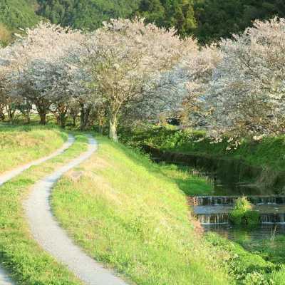 福岡⇒釜山 飛行機