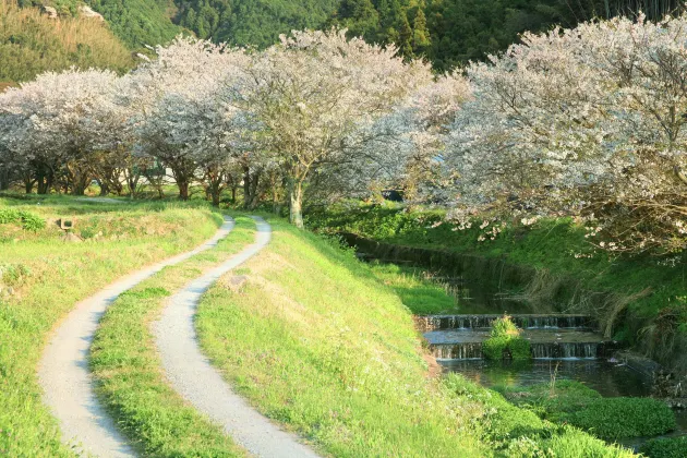 田主丸駅周辺のホテル