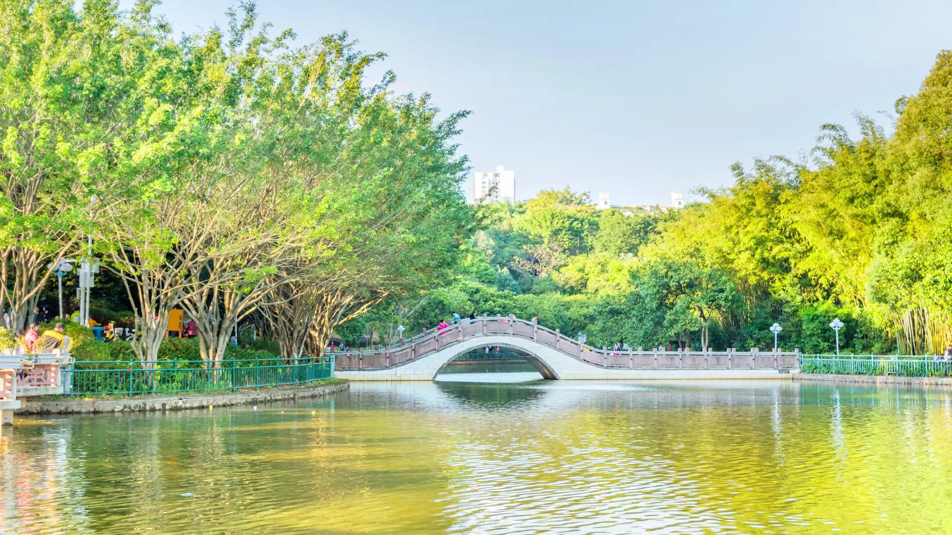 鄰近龍潭公園的酒店
