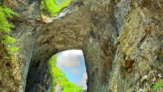 Caverns at Natural Bridge