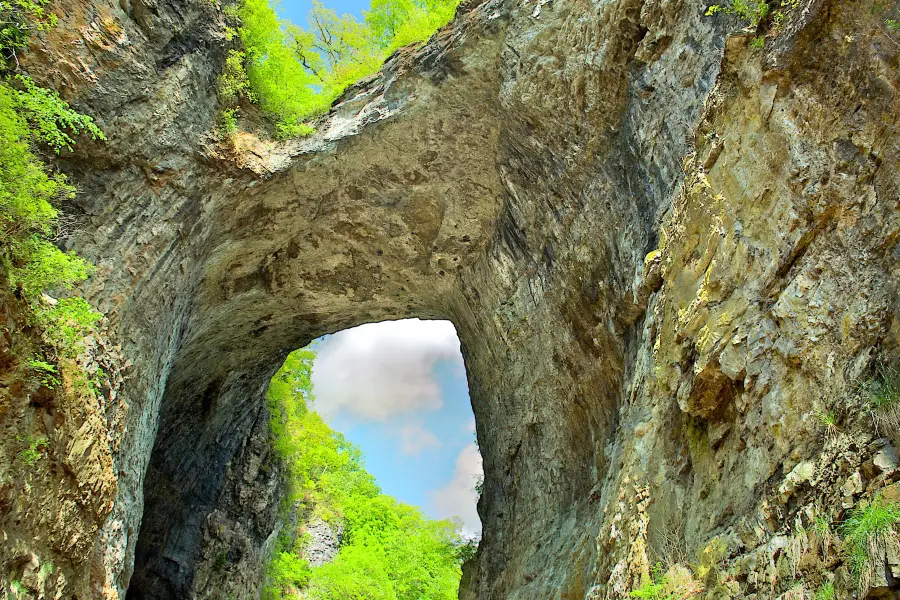 Caverns At Natural Bridge