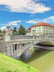 Puente de los Dragones