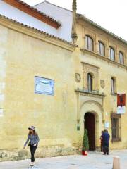 Museum of Fine Arts of Cordoba