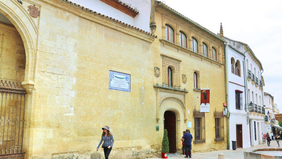 Museum of Fine Arts of Cordoba