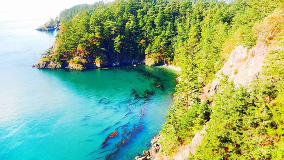 Deception Pass State Park