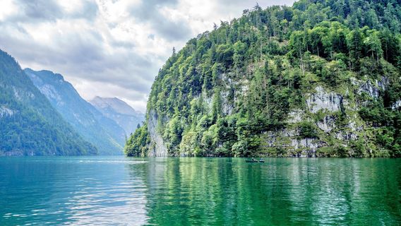 Kinglake National Park