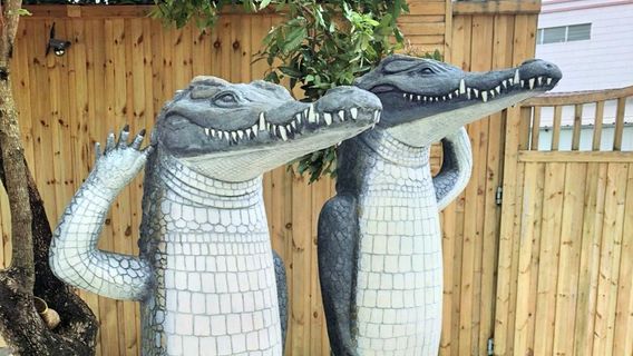 Erengu Cotourism Area