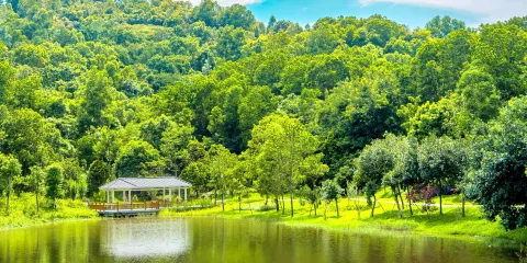 龍崗區大運公園