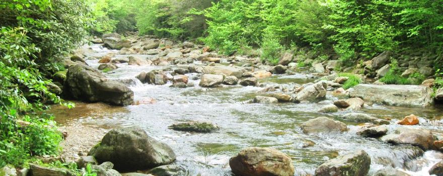 Foresta nazionale di Pisgah