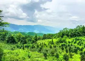 摩圍山景區