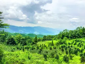 Mowei Mountain Scenic Area