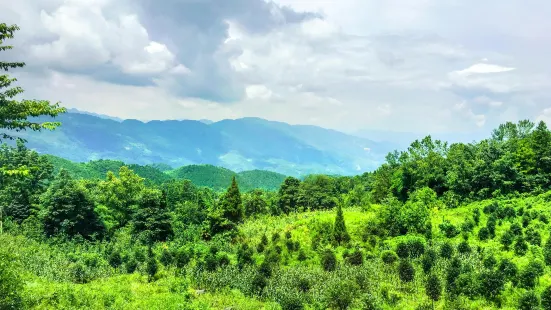 Mowei Mountain Scenic Area