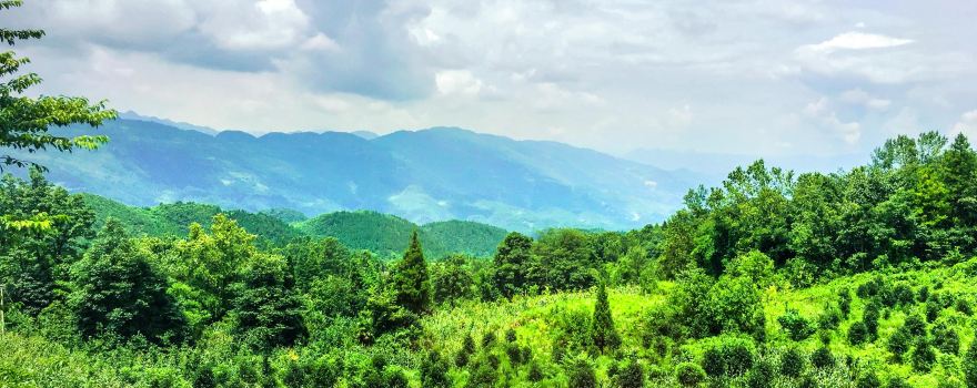 Mowei Mountain Scenic Area