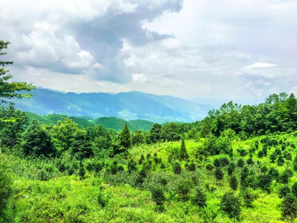 Mowei Mountain Scenic Area