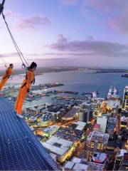 Auckland Sky Tower Skywalk