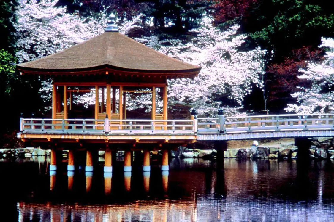 Hotels near Ukimido Pavilion