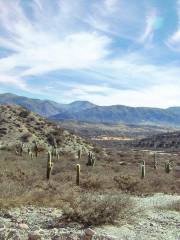 Quebrada de Humahuaca