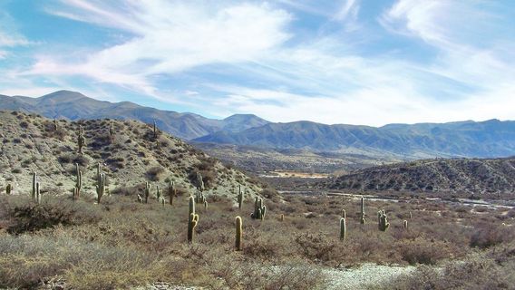 Quebrada de Humahuaca