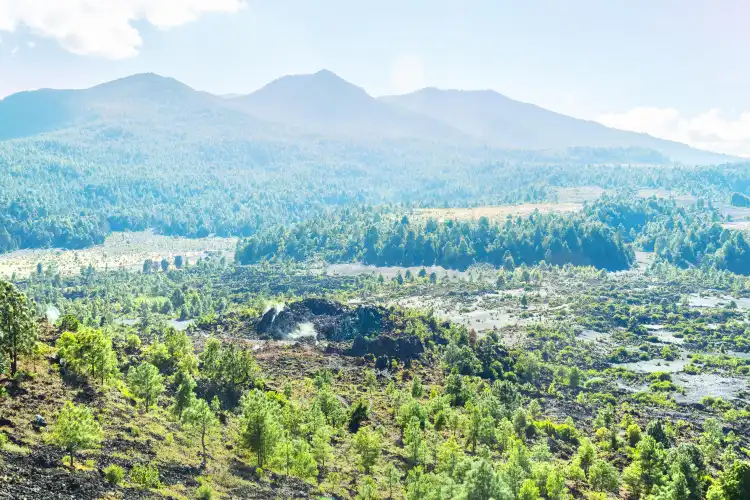 Uruapan del Progreso